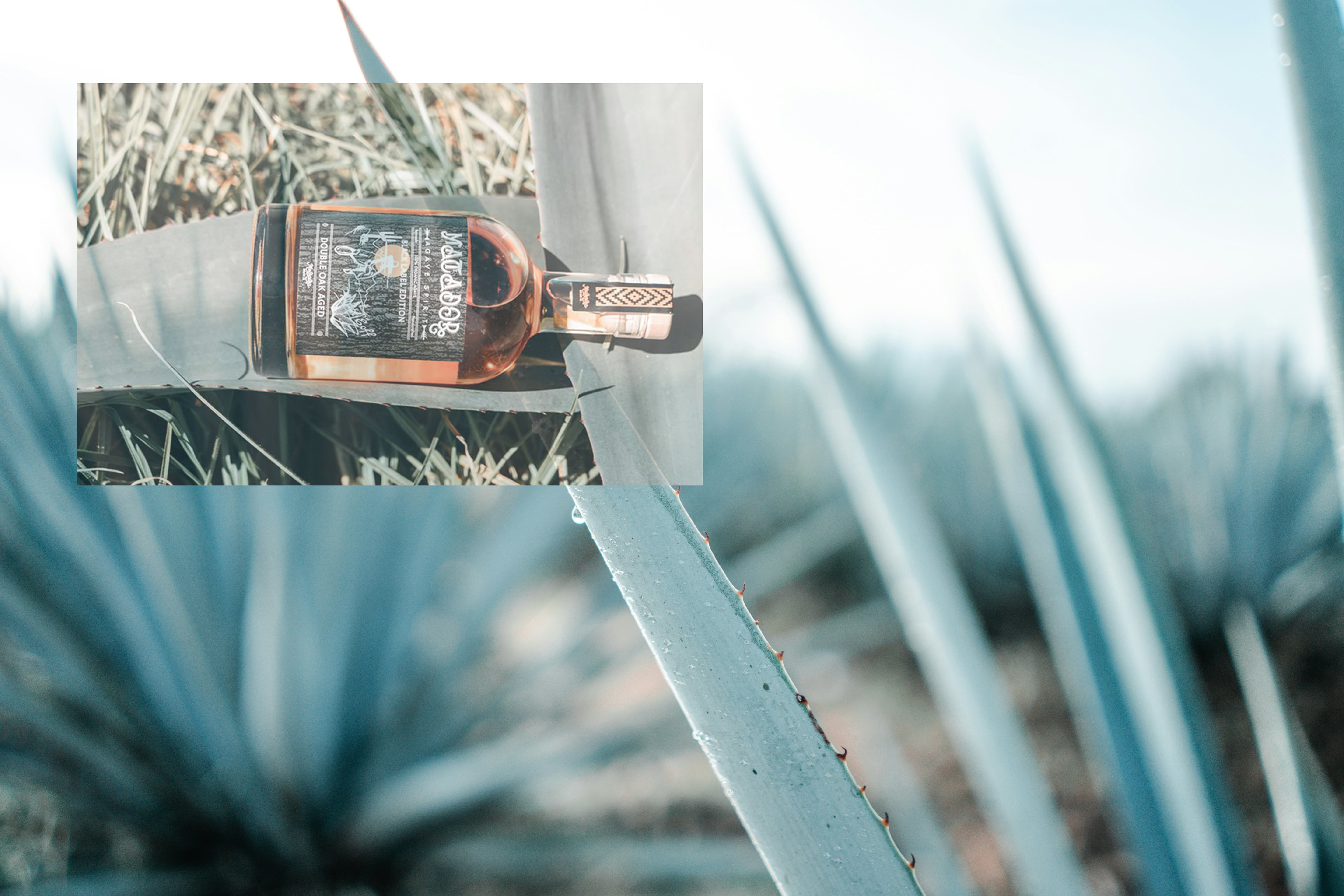 Agave Plant and Black label Agave Spirit Bottle