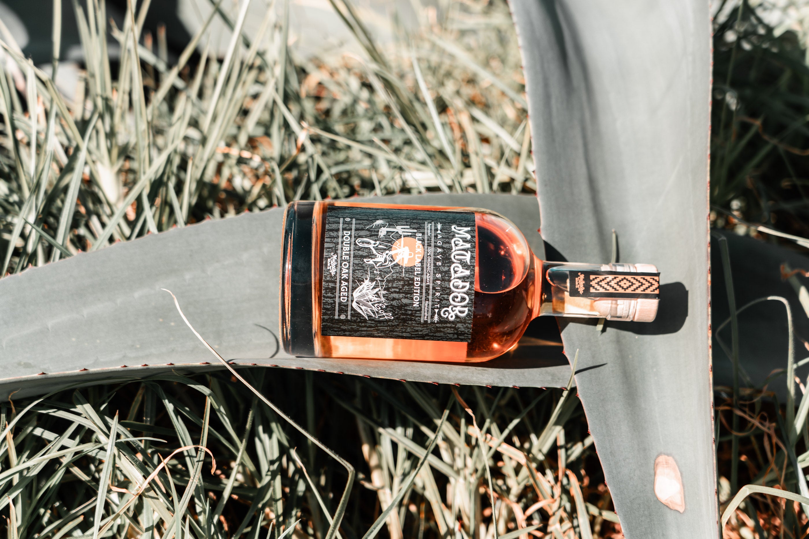 Bottle of Tequila anejo on an agave plant with grass in the background